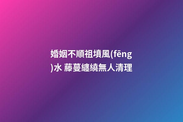 婚姻不順祖墳風(fēng)水 藤蔓纏繞無人清理